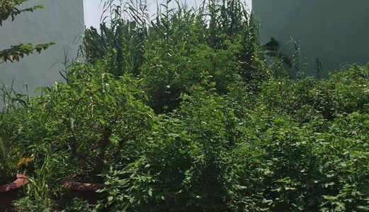 Bán Đất Mt Đường Số 13A, P. Bình Trị Đông B , Q.bình Tân, 5X20M, 5.2Tỷ.