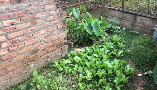 Bán Đất Thổ Cư Lai Xá, Hướng Đông Bắc, 38M2 Giá 798 Triệu.