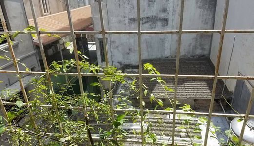 Bán Nhà Phố Cự Lộc, Thanh Xuân Sát Royal City 57M2X4T, Mt 4,7M Chỉ 3.9 Tỷ. Ô Tô Cách 30M.