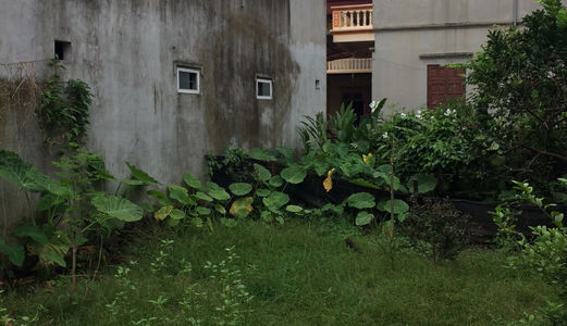 Tôi Cần Bán Mảnh Đất Thổ Cư, Sổ Đỏ Chính Chủ Xóm Đông, Đức Diễn.