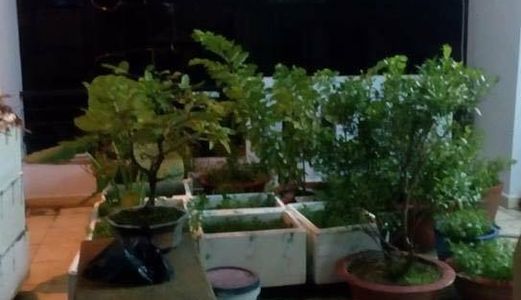Nhà Đẹp, Kinh Doanh Rất Tốt, Khu Vực Quan Trọng.