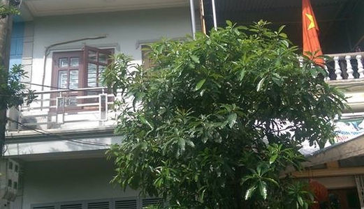 Cần Bán Gấp Căn Nhà Ngõ Oto Vào Ở Ngô Xuân Quảng,Dt 74,4 M, Giá 2,2 Tỷ. Lh 01649722248.