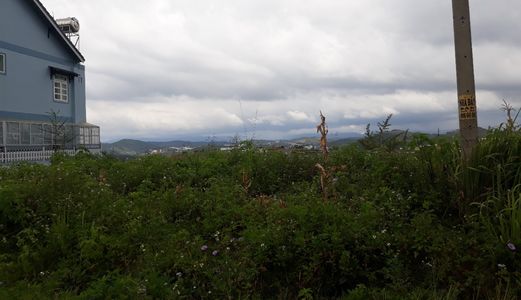 Bán Đất Đẹp Hai Mặt Tiền Nguyễn Trung Trực, P4, Đà Lạt 114M 2,3 Tỷ