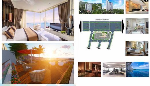 Mua Ngay Căn Hộ Sơn Trà Ocean View 10 Năm Sau Hoàn Vốn