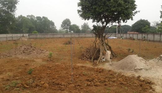 Bán Gấp 840m2 Đất Vườn Tại Đa Phước, Bình Chánh Giá 2.5 Tỷ.