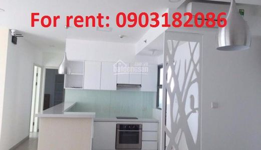 Cho Thuê Căn Hộ Phú Hoàng Anh Và Khu Vực Lân Cận.giá Tốt 