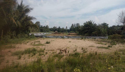 Cho Thuê Mặt Bằng Võ Nguyên Giáp Khu Dân Cư Nam Long Giá Dưới 50Triệu