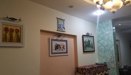 Gấp Nhà Thanh Xuân, 50 Tr/m2, Ngõ Ô Tô, 3 Mặt Thoáng!