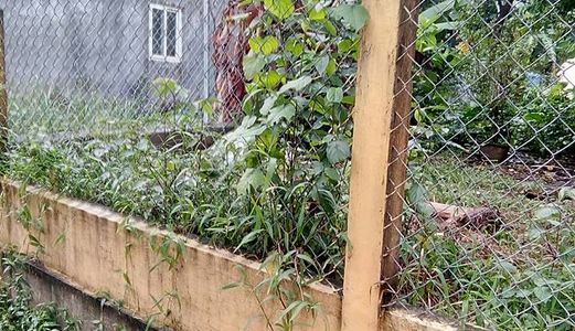 Bán Đất Phường Xuân Phú,đường Nguyễn Lộ Trạch, Tp Huế
