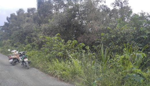 Bán Đất Nông Nghiệp Cách Đường Dương Công Khi Hóc Môn 300M Giá Rẻ 490K/m2