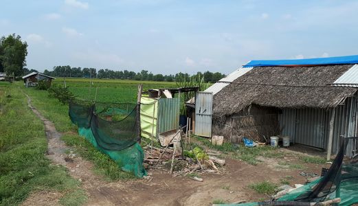 Bán Đất Nông Nghệp Huyện Hóc Môn Giá Rẻ Nhất Thị Trường