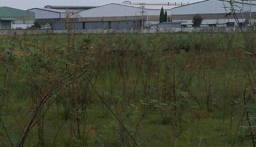 Bán Đất Nền Giá Rẻ Tây Bắc Củ Chi