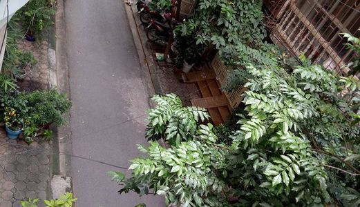 Đẹp Hiếm Nguyên Hồng Đống Đa 51m2*5t Mt 5.2m Vỉa Hè Kinh Doanh Nhỉnh 10 Tỷ.