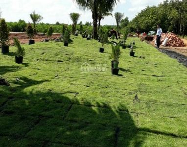 Bán Đất Khu Du Lịch Sinh Thái Xã Lộc An - Huyên Long Thành - L/h 093.2222.358