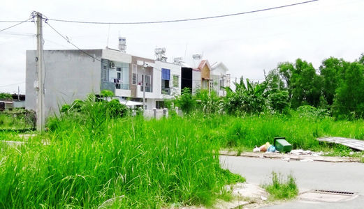 Bán Gấp 500M2 Đất Đẹp, Đường 6M, Lê Văn Lương, Nhà Bè, Giá Chỉ 5Tr/m2, Shr