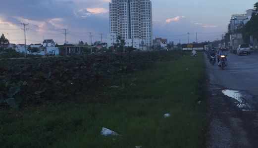 Bán Đất 1000m2, Khu Vực Mỹ Khánh