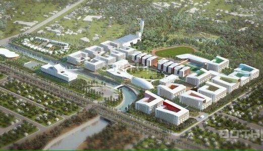 Thị Trường Đang Nóng Dần Lên Với Những Lô Đất Mỹ Phước 4 Ngay Đại Học Thủ Dầu Một Giá Đầu Tư