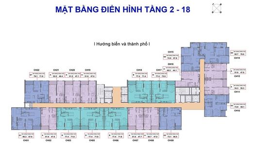 Dòng Sản Phẩm Vip Tại Dự Án Son Tra Ocean View Apartment. Lợi Nhuận 8%/năm