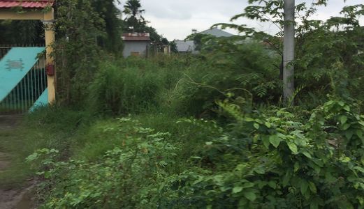 Đất Thổ Cư Xã Tân Quý Tây, Bình Chánh Giá Rẻ.