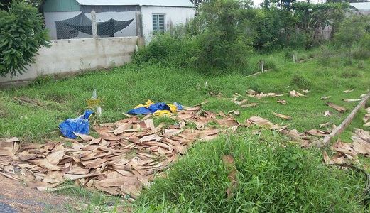 Bán Gấp 300m2 (10mx30m) Đất Quốc Lộ 50, Sát Quận 8, Shr