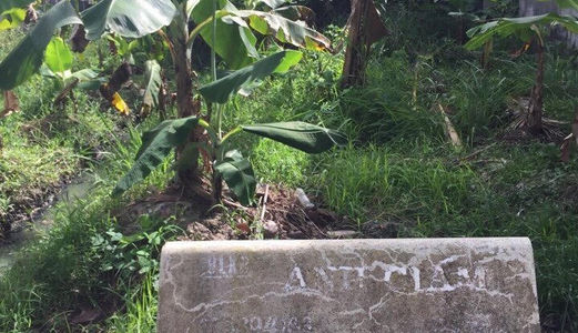 Bán Nhà Hẻm Rộng Gần Mặt Tiền Đường Hoàng Quốc Việt