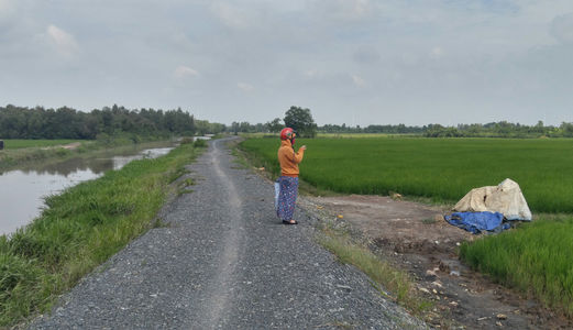 Bán Đất Nông Nghiệp Hóc Môn Cách Dương Công Khi 300M Giá 450K/m2