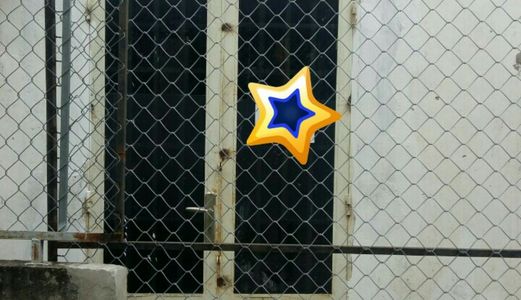 Bán Nhà Cấp 4 Đường Số 6 Bình Trưng Đông Quận 2