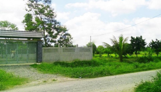 Kẹt Tiền Bán Gấp 900M2 Biệt Thự Nhà Vườn Chỉ 3Tr/m2 Mặt Tiền Đường Nhà Bè, Lh 0903698485