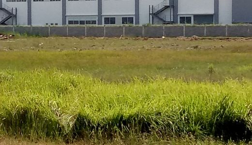 Mua Ngay Đất Sổ Hồng, Pháp Lý Rõ Ràng, Đầu Tư Cực Lợi Nhuận Chỉ Từ 300 Tr Mua Nhanh Tháng 10