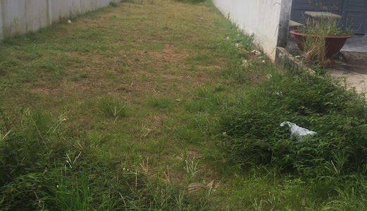 Chính Chủ Cần Bán Gấp Lô Đất Xã Tân Qúy Tây, Bình Chánh. Dt.100M2 Giá Rẽ.