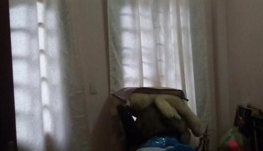 Bán Nhà Kim Mã 33m2 4 Tầng Mặt Tiền 7m Giá 3.5 Tỷ  