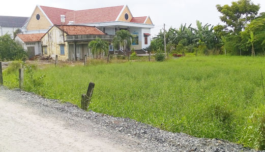 Hot Hot!!! Sang Nhanh 3800m2 Thổ Cư, Chỉ 3 Tr/m2, Shr, Giá Rẻ, Lê Văn Lương, Nhà Bè