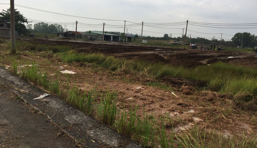 Bán Đất Đường Quốc Lộ 50, Huyện Bình Chánh, Giá: 450 Triệu, Diện Tích: 100M2