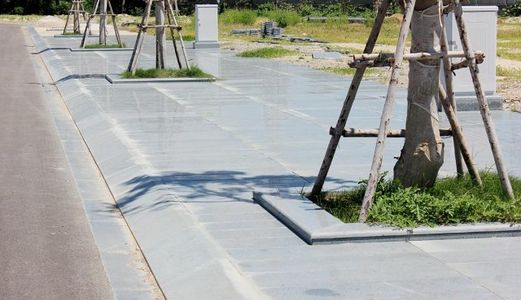 Cần Tiền Nên Bán Gấp 700M2 Thổ Cư Giá 385/413 Triệu Đường Đđt 