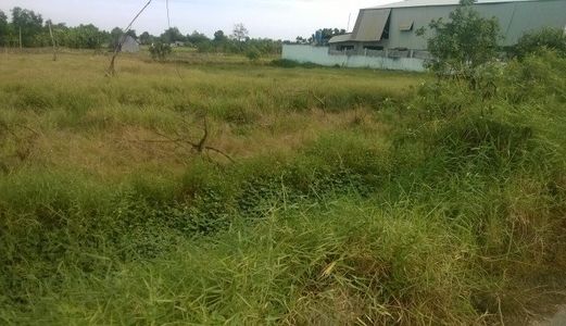 Chính Chủ, Bán Nhanh 1100M2 Ngang 30M Đất Mặt Tiền Hương Lộ 11, Nhà Vườn Chỉ 5,6 Tỷ, Pháp Lý Rõ Ràng