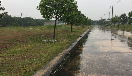 Ngân Hàng Tl Đất Nền Giá Rẻ Tại Kcn Bd, Shr, Thổ Cư 100%, Hỗ Trợ Vay 80%.