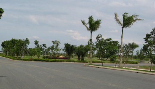 Đất Mặt Tiền Trần Văn Giàu, Bình Chánh