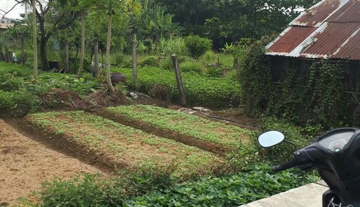 Bán Đất Tại Đường Lê Văn Lương, Nhà Bè,  Hồ Chí Minh Diện Tích 576m2,70m2 Thổ Cư,1,98 Tỷ