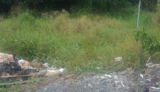 Đất Xây Trọ 330m2 ( 145m2 Thổ Cư ) Xã Quy Đức Huyện Bình Chánh