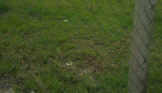 Bán Gấp Lô Đất  Lấy Tiền Chữa Bệnh Cho Con Dt 1200M2 Giá Rẻ , Hưng Long , Bình Chánh