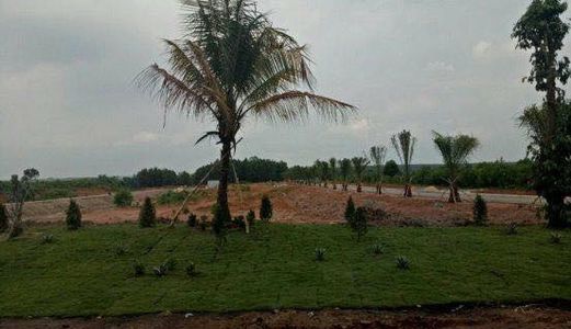 Đất Nền Sân Bay Long Thành, Sổ Hồng Riêng, Giá Chỉ 1,8 Triệu/m2, Đầu Tư Thấp Lợi Nhuận Cao