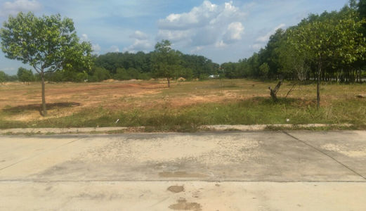 Cần Tiền Nhập Hàng Tết, Bán Gấp 450m2 Đất Tc, Nhà Mt Ql 13