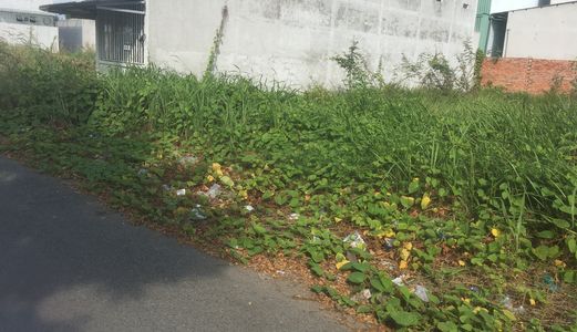 90m2 Thổ Cư Có Sẵn Nhà Cấp 4 , Đường 8m Hiệp Phước Nhà Bè , Shr , Liên Hệ 0932032111