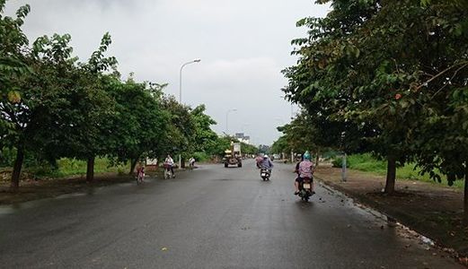 Bán Nhanh Lô Đất 125m2 Khu 31 Ha Trâu Quỳ. Lh Hưng 0971754454