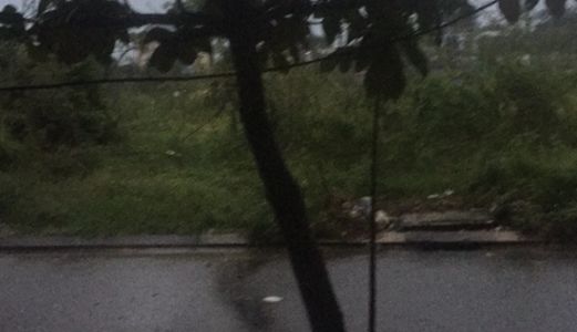 Bán Đất Trần Văn Trà, Có Nhà Cấp 4, Hòa Xuân, Cẩm Lệ, Đà Nẵng