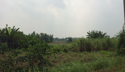 Đất Mặt Tiền Xã Tân Qúy Tây, Bình Chánh 1000m2 Cần Bán Gấp