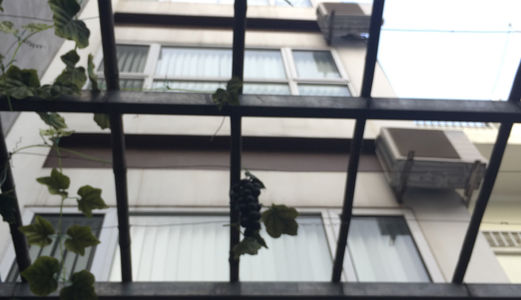 Cho Thuê Nhà Chính Chủ Ở Hoàng Cầu, Đống Đa, Lh 0989509030