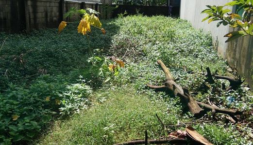 Bán Đất Mặt Tiền Tuy Lý Vương, Vỹ Dạ, Tp Huế