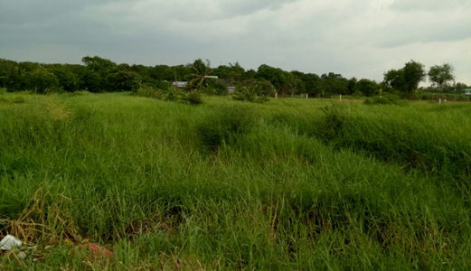 Chính Chủ Bán Gấp Lô Đất Dt.1100M Có 125M2 Thổ Cư, Tân Quý Tây, Bình Chánh