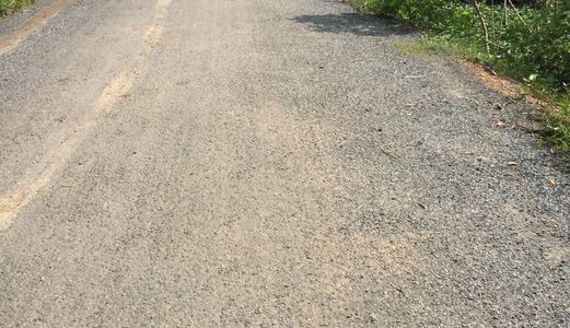 2400m2 Đường 3 Chả, Hưng Long, Bình Chánh Giá 1.4 Tr/ m2.